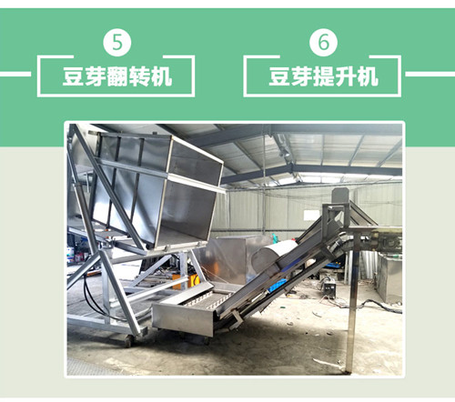 大型黄豆芽清洗去壳机