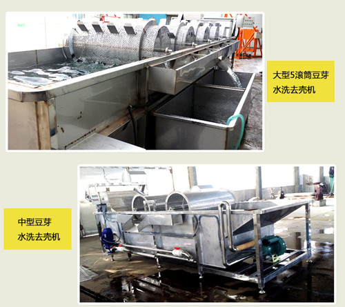 大型黄豆芽清洗去壳机