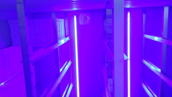 蓝光促生长苗菜机