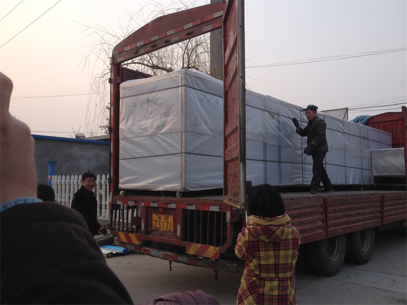 发河北唐山1000斤不锈钢豆芽机 两台