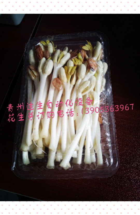 欢迎订购花生芽