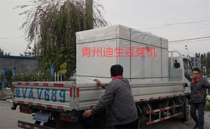 发吉林500斤普通豆芽机一台