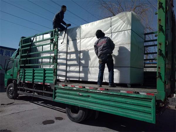 发往广西2台600斤豆芽机