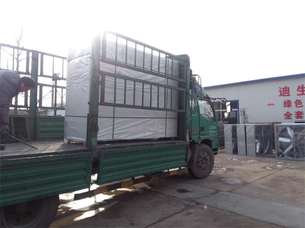 发往辽宁300斤豆芽机