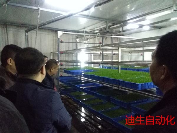 客户实地考察指导