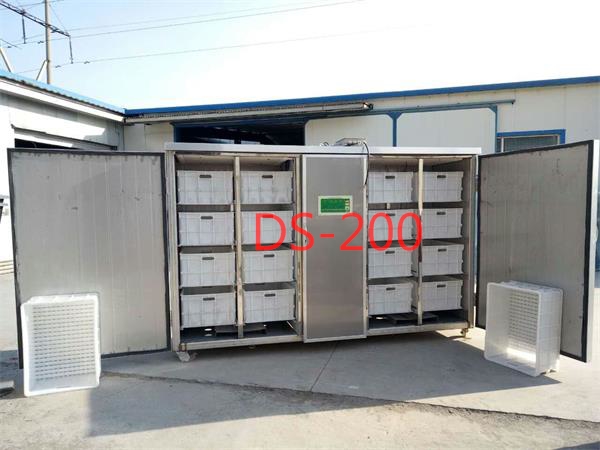 发往吉林200斤不锈钢豆芽机1台