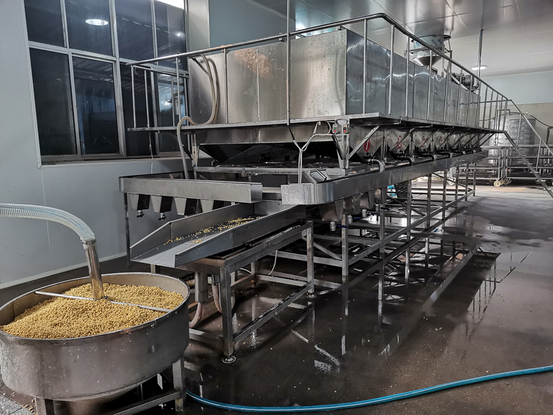 全自动清洗泡豆流水线