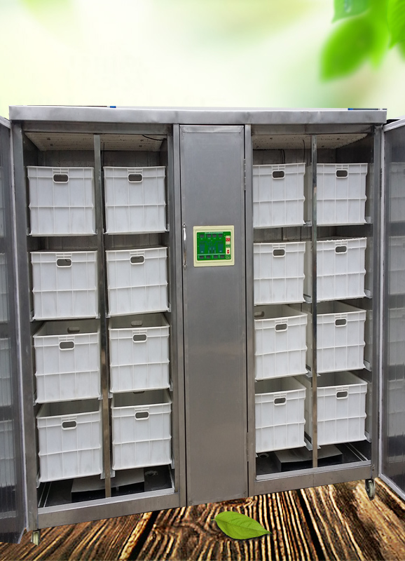 全自动豆芽机小型全自动不锈钢